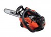 Echo CS 2510 TES motosega da potatura