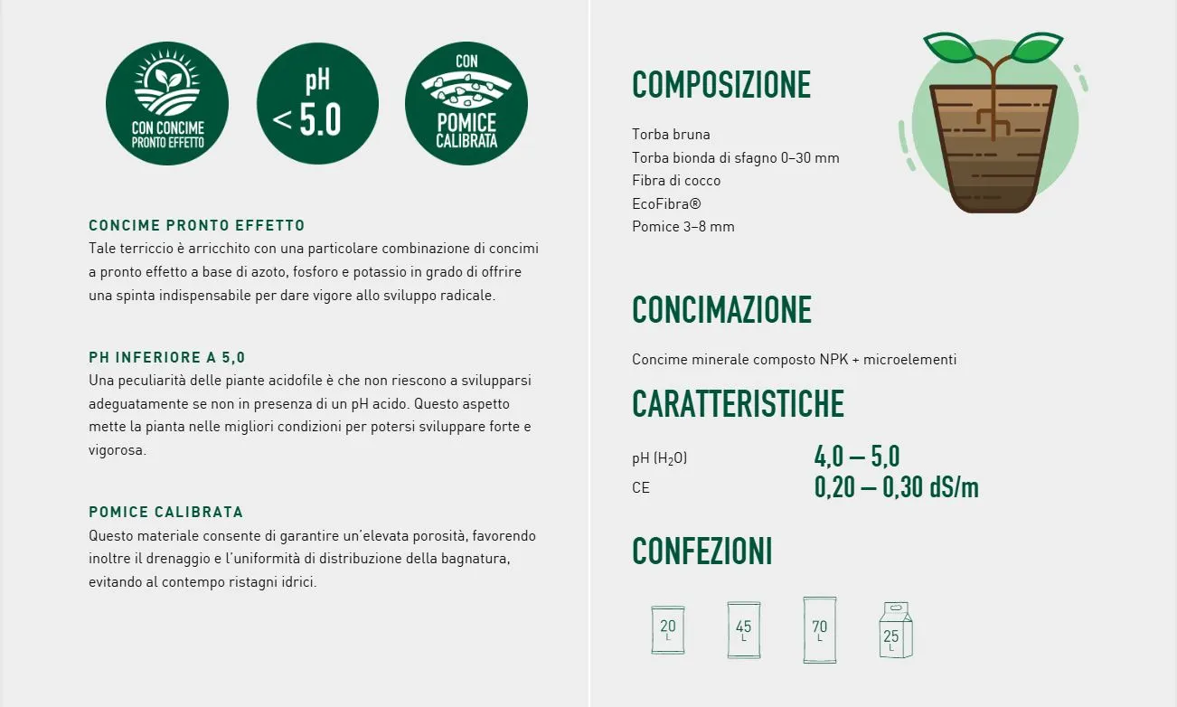 terriccio acidofile vigorplant