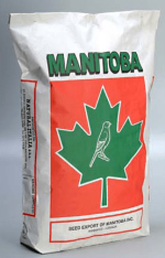 Manitoba T3 Oro per canarini