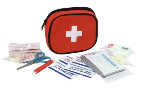 borsa primo soccorso per addestramento cani