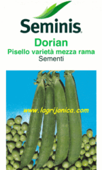 Seminis Dorian in confezione di diverso formato