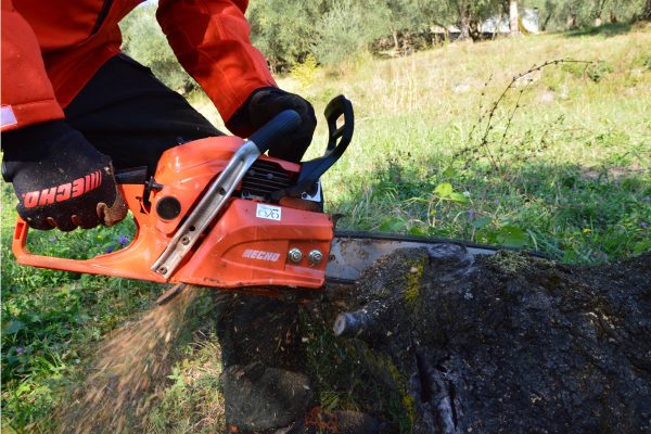 motosega echo cs 390 esx caratteristiche tecniche