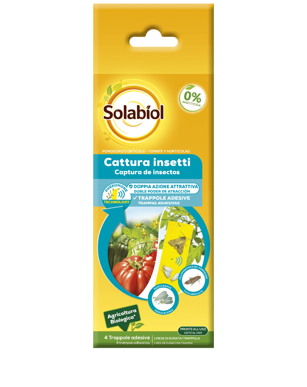 solabiol cattura insetti pomodoro e orticole