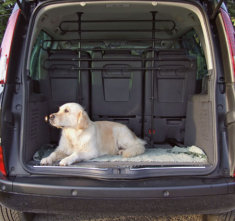 Rete protettiva auto per cani in ferro per viaggiare in sicurezza Kerbl