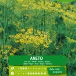 Olter semi Aneto