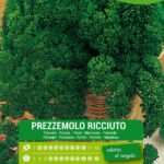 semi prezzemolo ricciuto