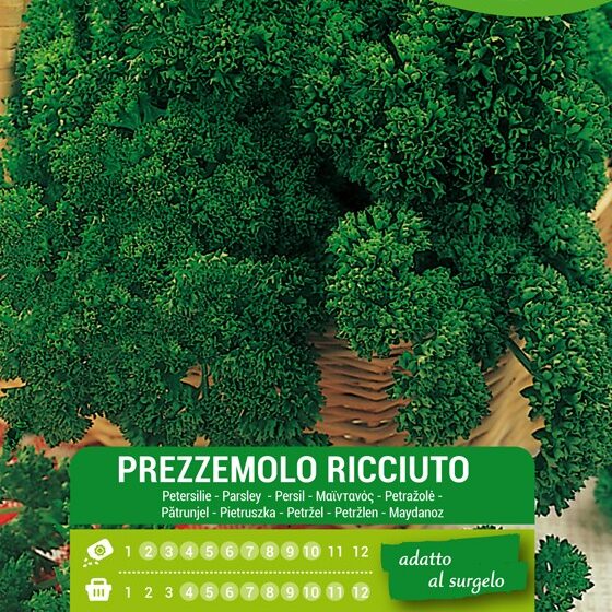 semi prezzemolo ricciuto