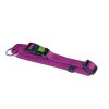 Collare Viola per cani Miami in nylon