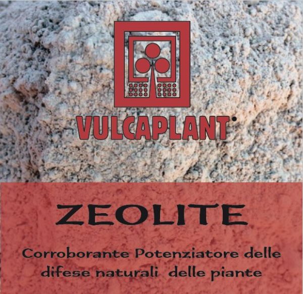 zeolite fungicida naturale bio