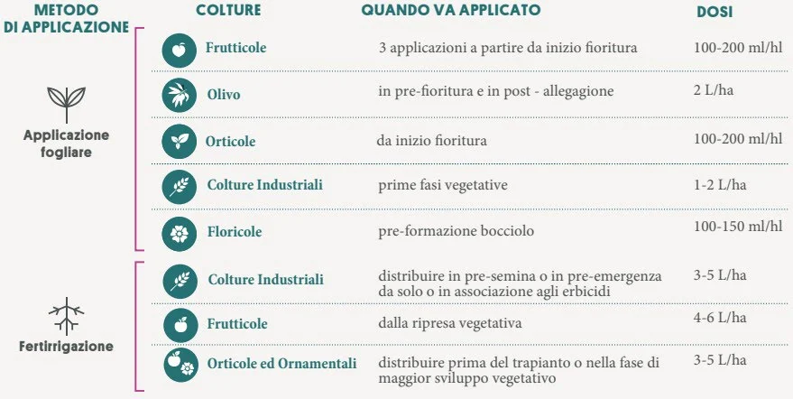 DOSI BOROPLUS