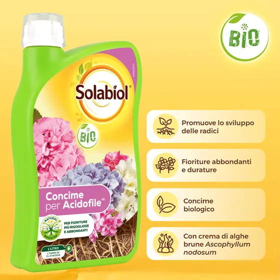 concime piante acidofile vantaggi