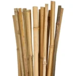 tutore in bamboo