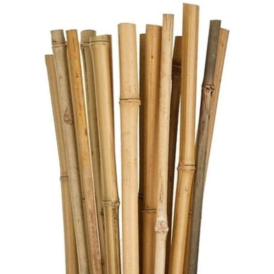 Tutore in bamboo per sostegno